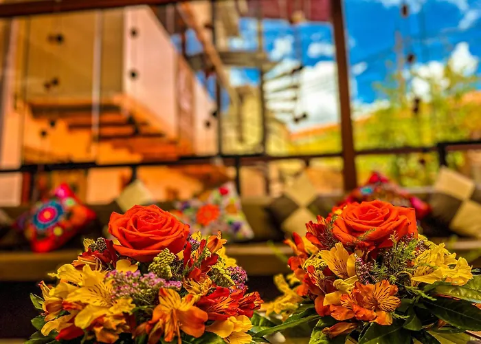 Andean Atoq Hostel